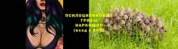 мескалин Алексеевка