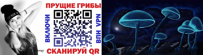 Псилоцибиновые грибы мицелий  купить   Гурьевск 