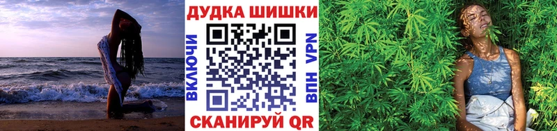 наркотики  MEGA tor  Шишки марихуана семена  Гурьевск 